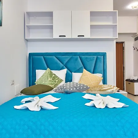 Madagascar Tomis Navodari