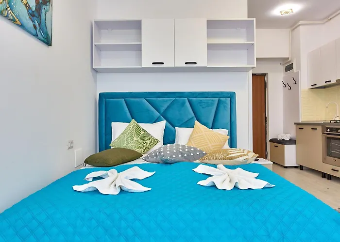 Madagascar Tomis 那沃达利